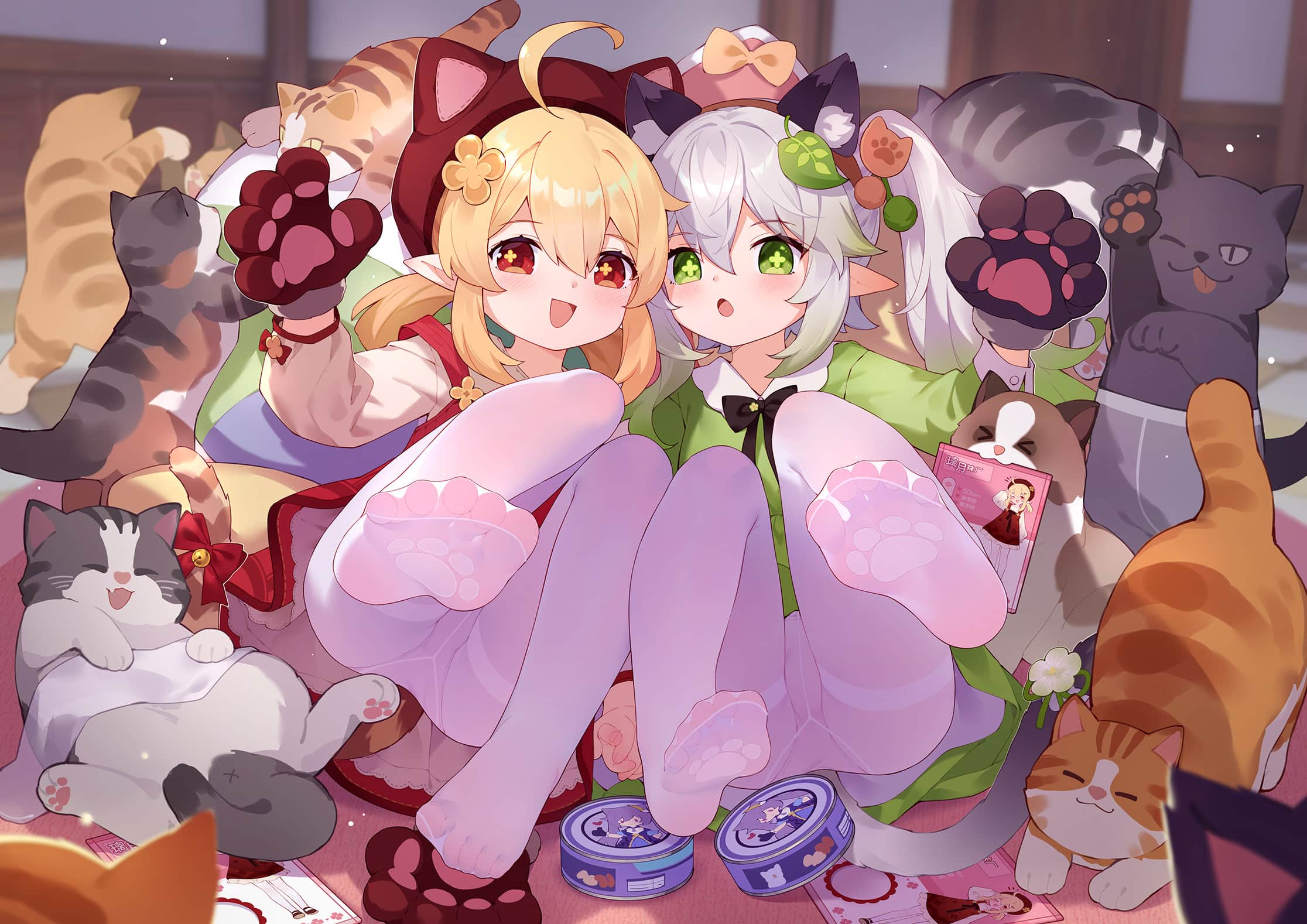 boxmoe_header_banner_img