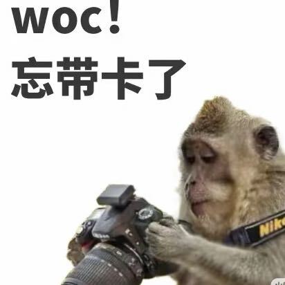 评论头像